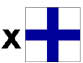 THIS  FLAG IS A X
