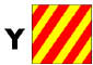 THIS  FLAG IS A Y