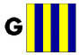 THIS  FLAG IS A G